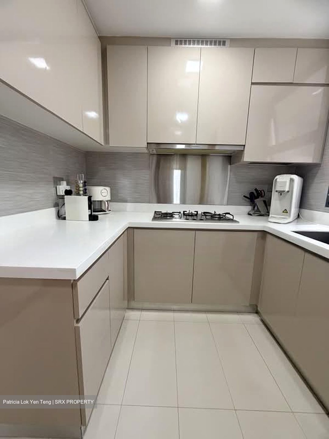 Blossom Residences (D23), Condominium #564259911
